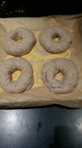 Bagels ready to go in the fridge (with a wet towel of course)